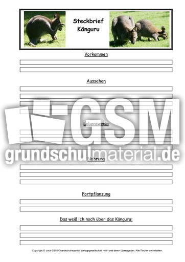 Känguru-Steckbriefvorlage.pdf